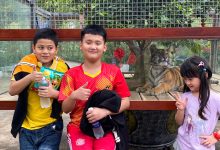 Chú hổ Ngao nổi tiếng nhờ biểu cảm như trẻ con hấp dẫn du khách