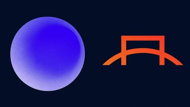 SOL Strategies và DeFi Development Corp chi mạnh tay mua 30 triệu USD SOL