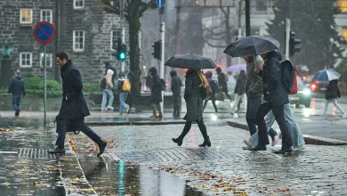 Bergen: Thành phố của những cơn mưa và sức hút riêng biệt.