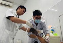 Cứu bàn tay bị hoại tử do điện giật trong tích tắc