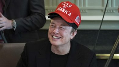 Elon Musk chia sẻ 100 ngày làm việc cùng Trump tại Nhà Trắng
