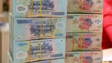 Bà Bùi Thị Lượng bị phạt 20 năm tù vì lừa đảo 97 tỷ đồng