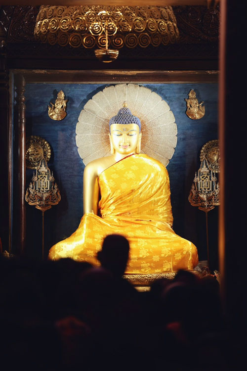 Bồ Đề Đạo Tràng trải nghiệm tâm linh giữa dòng người hành hương