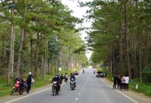 Bổ sung sân bay Măng Đen, Vân Phong vào quy hoạch toàn quốc