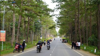 Bổ sung sân bay Măng Đen, Vân Phong vào quy hoạch toàn quốc