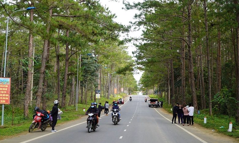 Bổ sung sân bay Măng Đen, Vân Phong vào quy hoạch toàn quốc