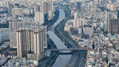 TP HCM thu ngân sách 202.193 tỷ đồng trong 4 tháng đầu năm 2025
