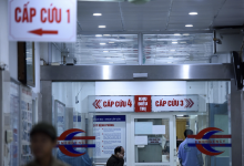 Bảo vệ nhân viên y tế trước bạo lực ngày càng gia tăng