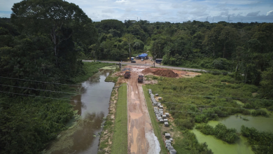 Brazil bị chỉ trích vì phá rừng trước thềm COP30