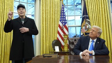 Elon Musk có thể muốn trở lại hoạt động kinh doanh theo lời Trump