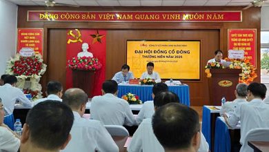 Cảng Quảng Ninh tăng trưởng mạnh mẽ với doanh thu 662 tỷ đồng