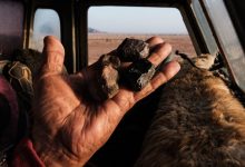 Người dân Mauritania tìm kiếm thiên thạch giữa sa mạc hoang vu