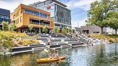 18 Trường New Zealand Tổ Chức Lớp Học STEM Miễn Phí Tại Việt Nam