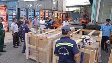 Bắt giữ gần 400.000 bao thuốc lá trong container xuất khẩu đi Australia