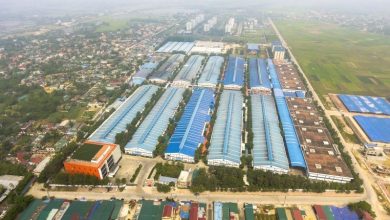 Sumitomo đầu tư gần 3.000 tỷ vào KCN Thăng Long Thanh Hóa