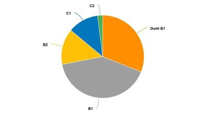 Gần 1/3 giáo viên TP HCM trình độ tiếng Anh dưới B1