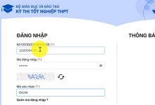 Cảnh báo chiêu lừa phụ huynh trong mùa thi THPT HCM