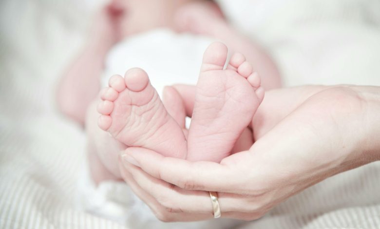 Mỗi người cần sinh bao nhiêu con để tránh tuyệt chủng?