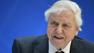 Sống lâu hơn nhờ thói quen ăn uống của David Attenborough