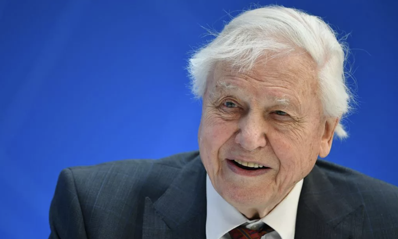 Sống lâu hơn nhờ thói quen ăn uống của David Attenborough