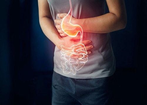 Những triệu chứng bệnh tiêu hóa thường gặp và cách nhận biết