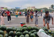 Người dân TP Vinh chung tay giúp tài xế thu gom dưa hấu sau tai nạn