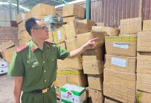 Khởi tố 2 người buôn lậu thuốc làm chín sầu riêng trị giá 97 tỷ đồng
